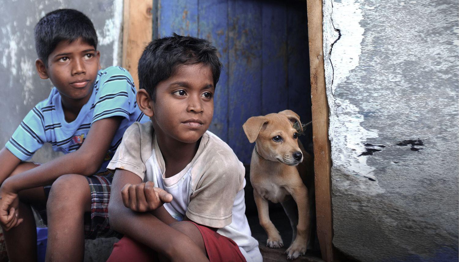 Kaaka Muttai tamil Movie - Overview